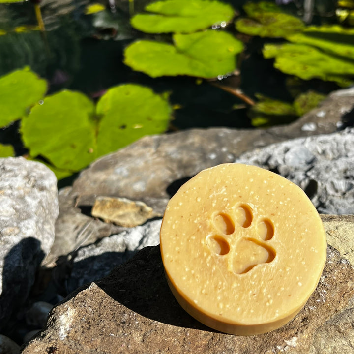 PUPPER DOG SHAMPOO BAR