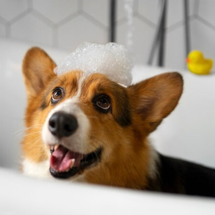 PUPPER DOG SHAMPOO BAR