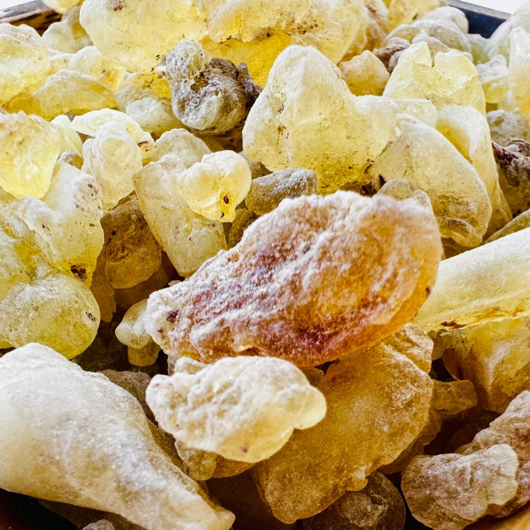 Frankincense: Ancient Wisdom Meets Modern Skincare