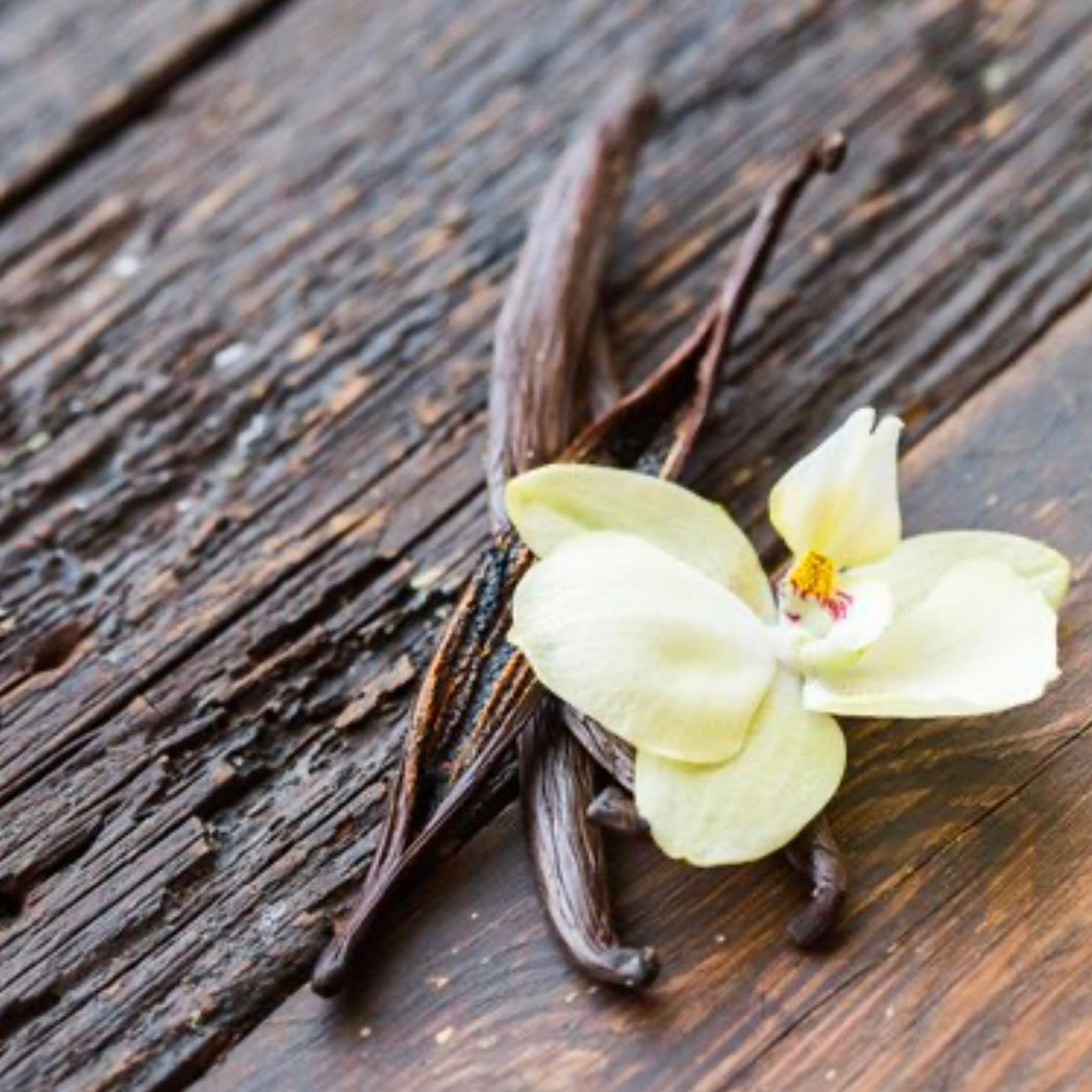 Vanilla History:  Enslaved Little Boy Revolutionizes Vanilla Cultivation